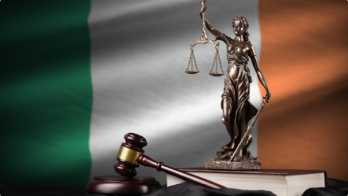 Research Diplomacy in action: the debate on a United Ireland 