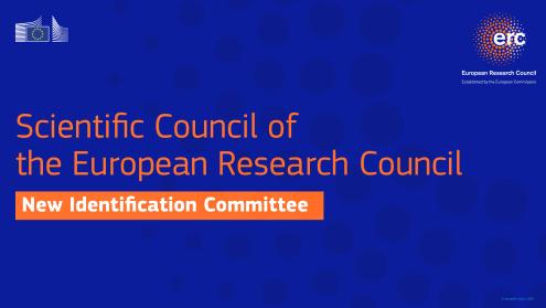 Identification Committee