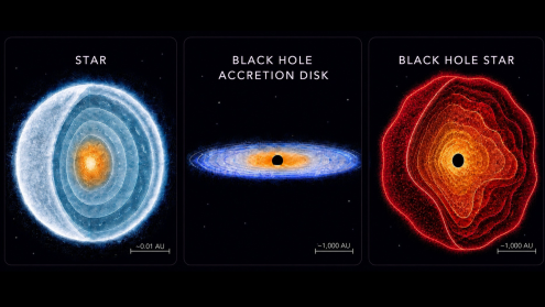 Stars - Black Holes - Black Hole Stars 