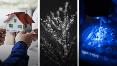 Research performed by ERC Starting Grant 2026 winners