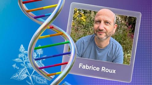 Fabrice Roux