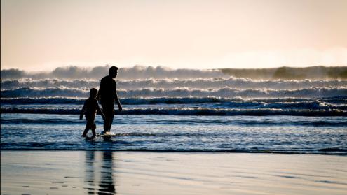 Cover image of Like father like son: how brain health can traverse generations