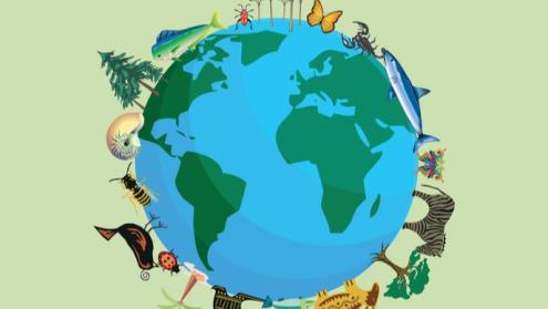 Cover image of The potential destabilising effect of biodiversity loss