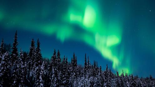 Cover image of Project of the Month: A new form of the Northern Lights discovered thanks to amateur stargazers