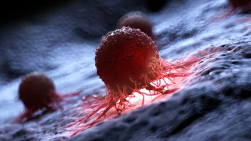 Cover image of The enemy of our enemy: how oncolytic herpes could help cure cancer