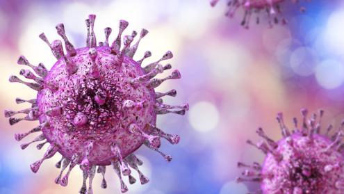 Cover image of New research decrypts the latency phase of human cytomegalovirus infection
