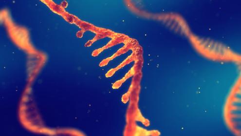 Cover image of Breaking the code of how viruses invade cells