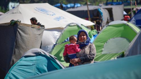 Cover image of The invisible women of international migration
