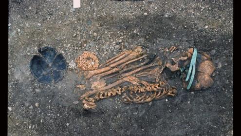 Cover image of A new look into prehistoric motherhood