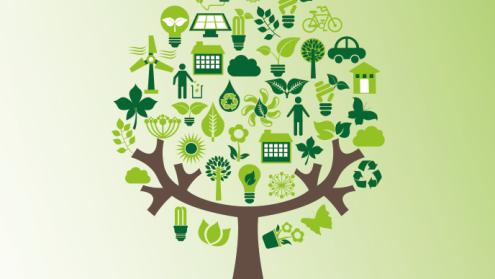 Cover image of Frontier research for the Green Deal: Driving forward Europe’s climate ambitions through innovation and transformation