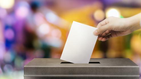 Cover image of High voter turnout or a no-show? Game theory offers insights