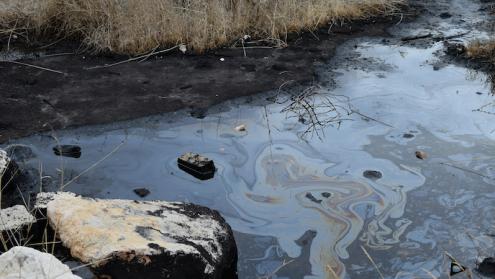 Cover image of Microbes living in tar pits show oil can be degraded from within