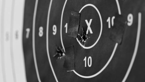 Cover image of Cancer in the crosshairs thanks to improved ‘magic bullets’