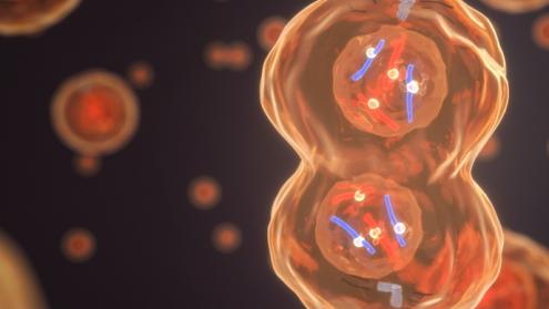 Cover image of Synthetic cell models help researchers study the origins of life Cover image of Synthetic cell models help researchers study the origins of life