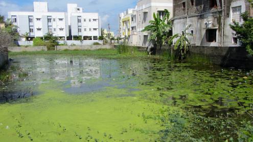 Cover image of Understanding how changing monsoon seasons impact urban development