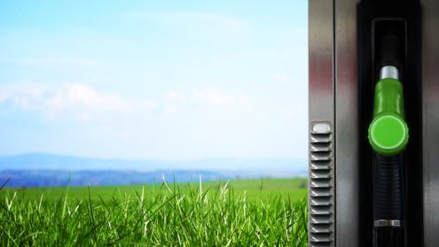 Cover image of Hybrid photoelectrodes advance solar fuel generation