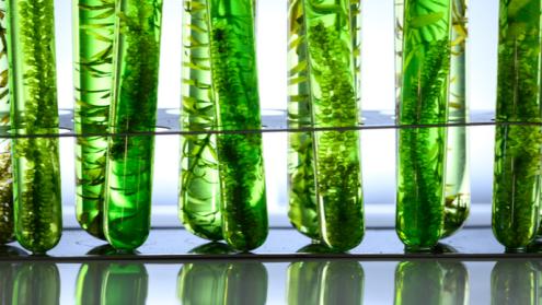 Cover image of Clean hydrogen production with bio-inspired catalysts