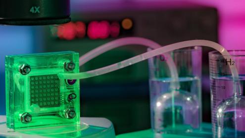 Cover image of Using intrinsically fragile catalysts to generate and use chemical fuels