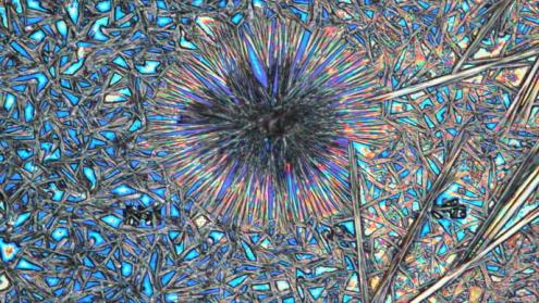 Cover image of A transformative, light-harvesting cubic crystal