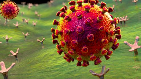 Cover image of Laying the foundations for effective drugs against SARS-CoV-2 infection