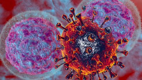 Cover image of Unravelling the mysteries of COVID-19 and its effect on the immune system