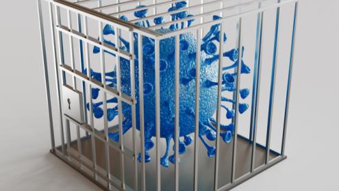 Cover image of Neutralising viruses with DNA origami traps