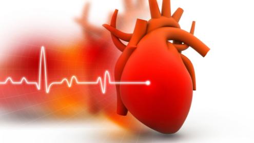 Cover image of Which cells increase your chances of developing coronary artery disease?