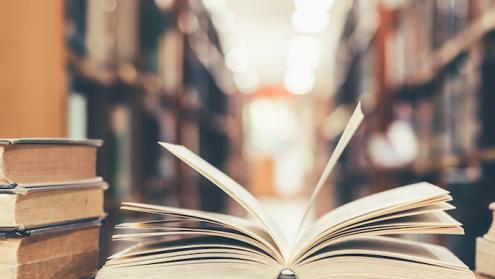 Cover image of Multilingual approach unlocks rich world of literature