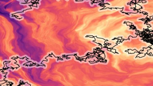 Cover image of Throwing down the scientific gauntlet to assess methods for anomalous diffusion