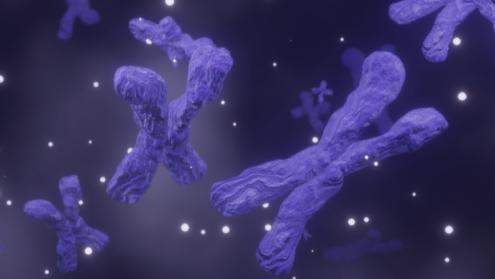 Cover image of Shedding more light on how the body controls our immune systems