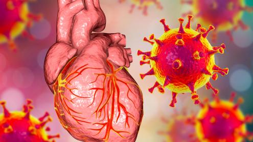 Cover image of These are the proteins causing strokes and heart attacks in COVID-19 patients