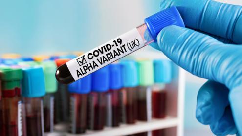 Cover image of Searching for the culprit of higher COVID-19 mortality