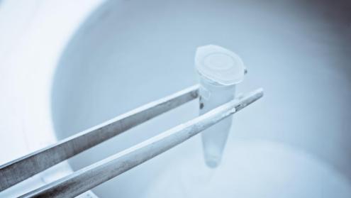 Cover image of Antifreeze fish inspire new cryoprotectants for human cells and tissues