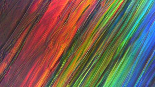 Cover image of Mimicking bird feathers to recreate nature’s luminous colours