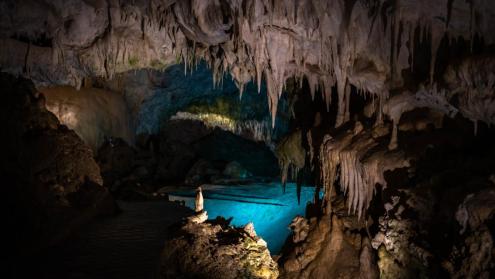 Cover image of Ancient cave deposits reveal our climate future