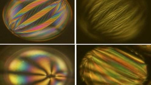 Cover image of Furthering liquid crystal technology for more flexible, intelligent and functional materials