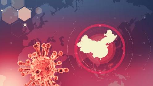 Cover image of How Global Value Chains Became Victims of Covid-19