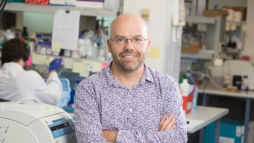 Cover image of New study sheds light on COVID-19 outcomes in patients with rare inborn immune disorders