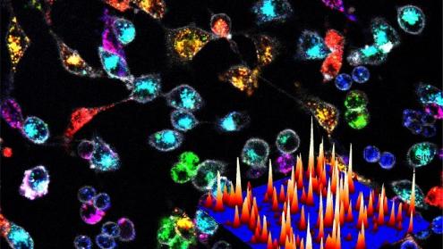 Cover image of Let there be light – and lots of it – for easy biomolecule detection