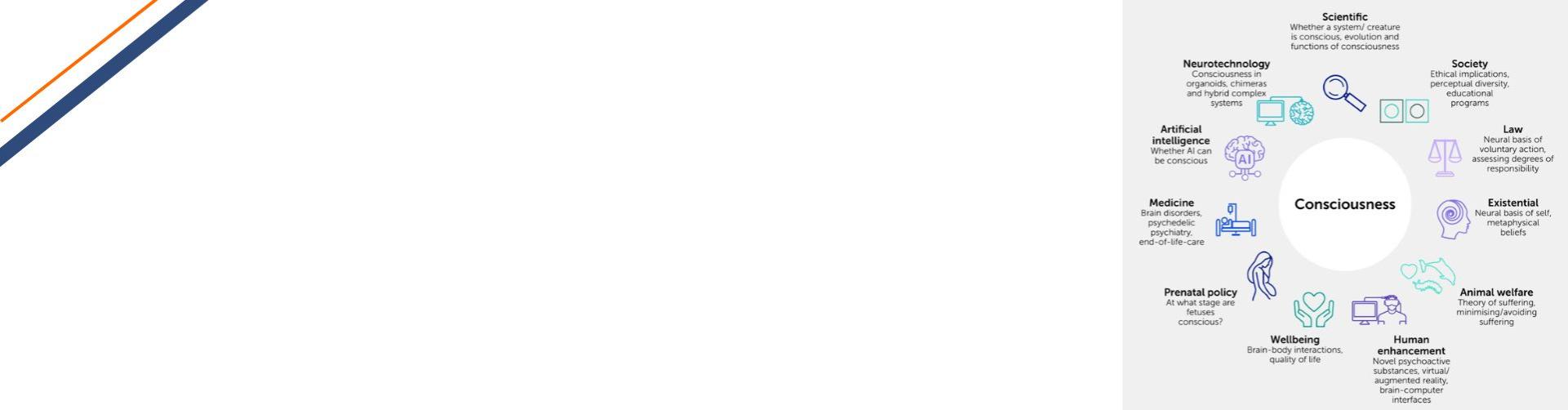 Consciousness clinical, ethical, and societal implications of “solving” consciousness.