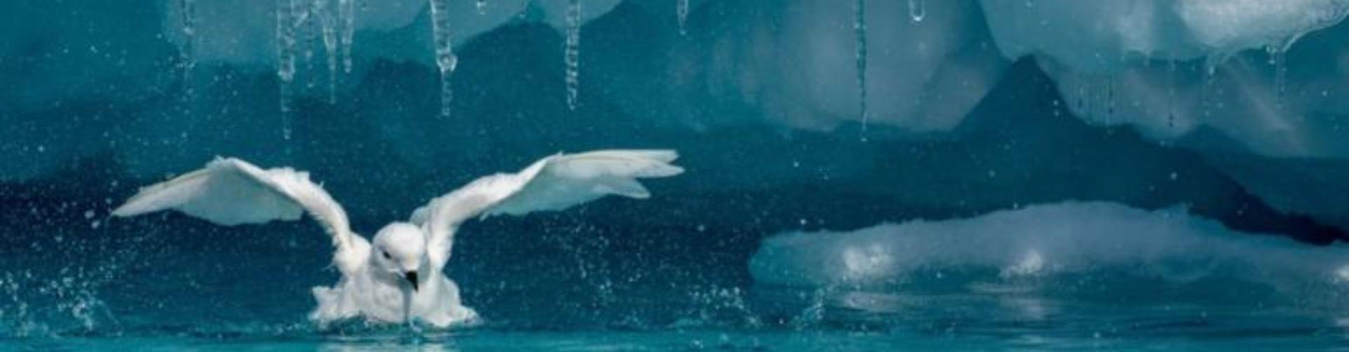 Climate stories from frozen archives