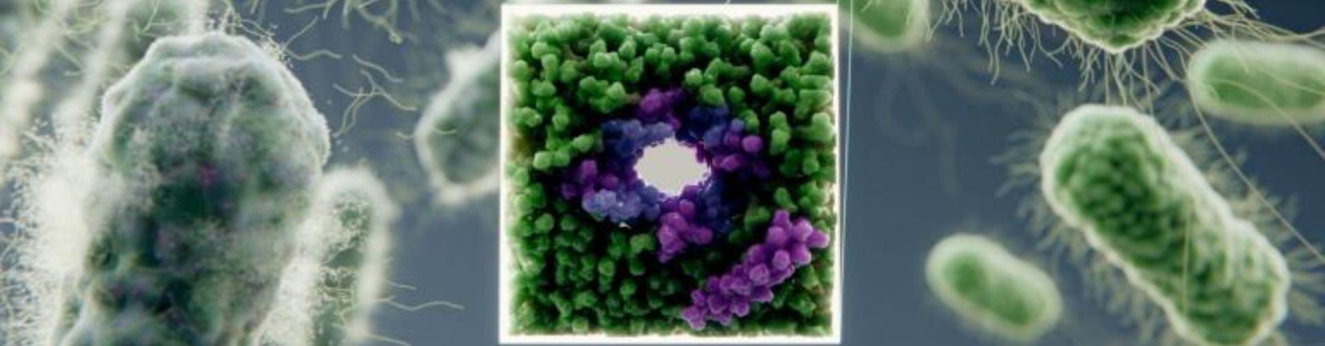 Cracking bacteria’s defences