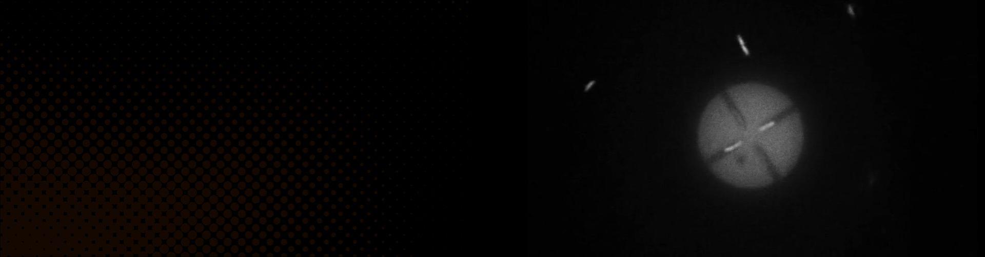 E. coli in confined spaces power symmetric discs