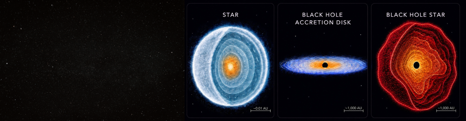 Stars - Black Holes - Black Hole Stars 