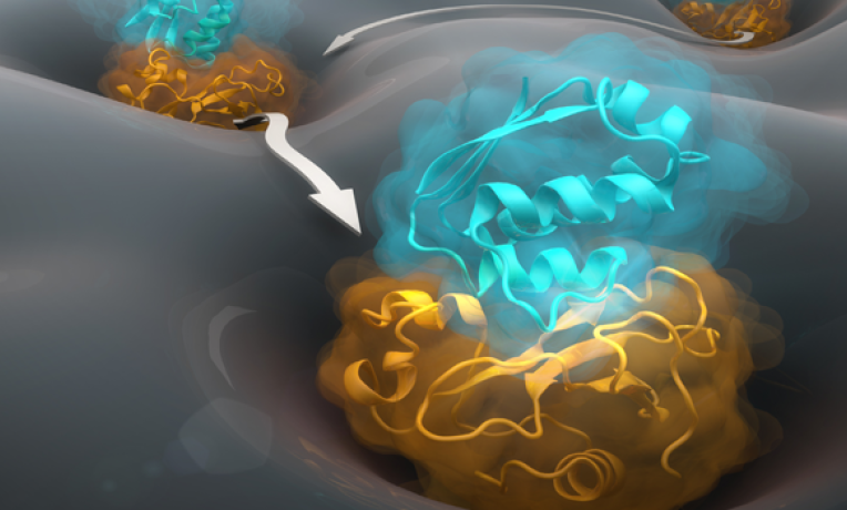 Cover image of Secrets of protein interactions unveiled Cover image of Secrets of protein interactions unveiled