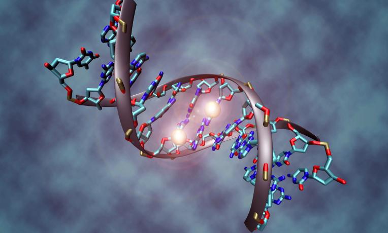 Cover image of Leukaemia: an epigenetic disease? Cover image of Leukaemia: an epigenetic disease?