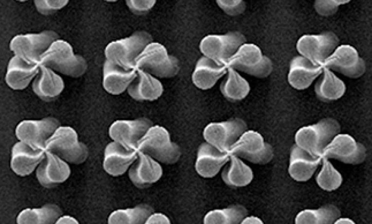 Cover image of Carbon Nanotubes: manufacturing steps to commercialisation Cover image of Carbon Nanotubes: manufacturing steps to commercialisation