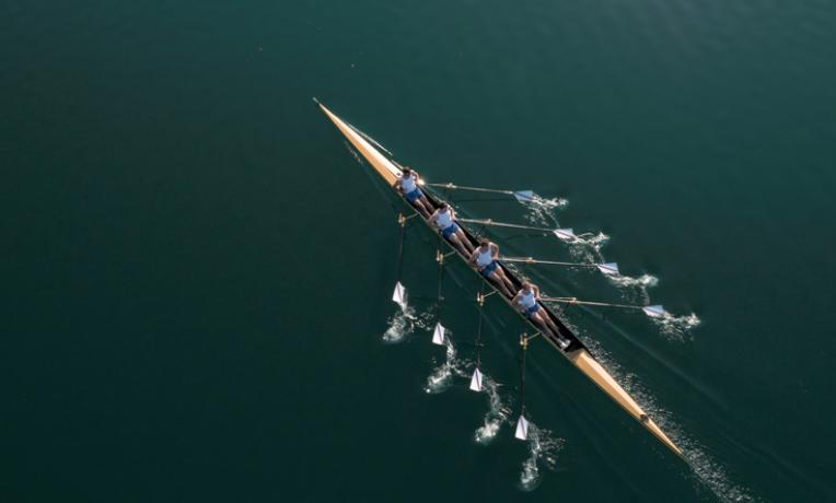 Cover image of Twenty-nine groups backed by ERC Synergy Grants to tackle complex research questions Cover image of Twenty-nine groups backed by ERC Synergy Grants to tackle complex research questions