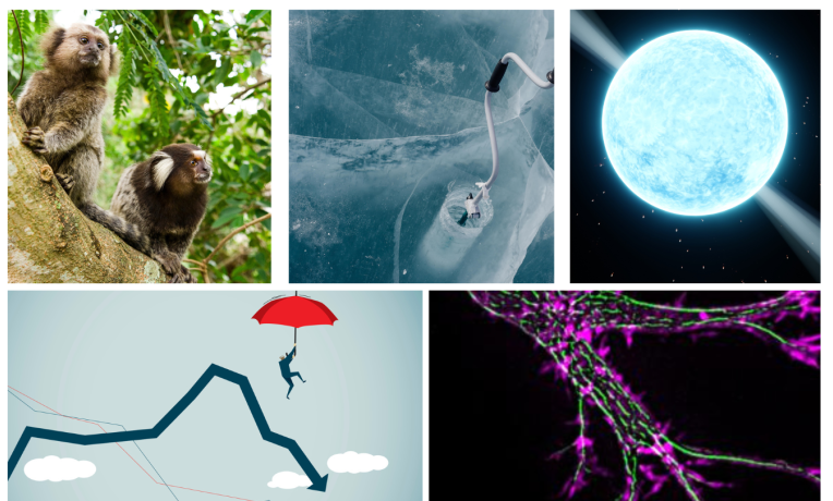 Cover image of ERC Synergy Grants 2022 - project highlights Cover image of ERC Synergy Grants 2022 - project highlights