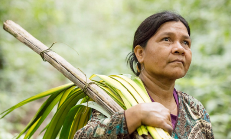 Bringing Indigenous and local knowledge to climate change research Bringing Indigenous and local knowledge to climate change research